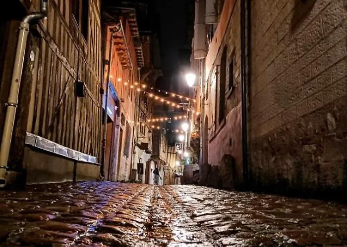 Le Jean Jaures 公寓 *